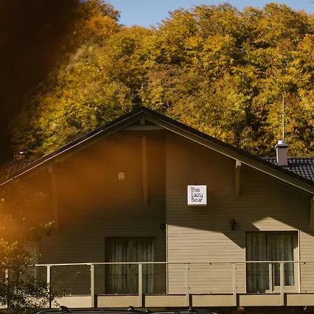 Holiday home The Lazy Bear Sovata